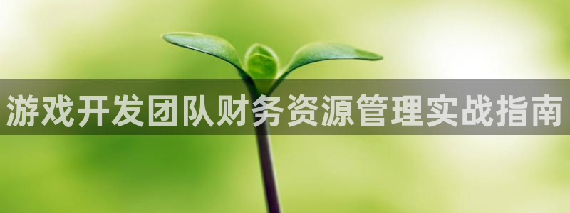 沐鸣277 77注册：游戏开发团队财务资源管理实战指南