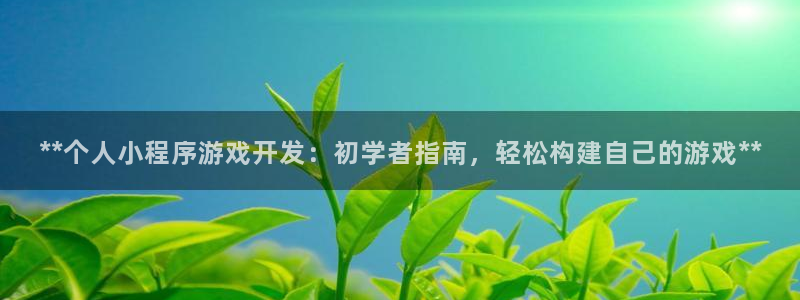 沐鸣2平台代理注册：**个人小程序游戏开发：初学者指南，轻松构建自己的游戏**