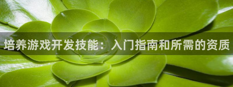 沐鸣2注册丘27337：培养游戏开发技能：入门指南和所需的资质