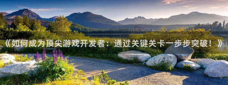 沐鸣2代理：《如何成为顶尖游戏开发者：通过关键关卡一步步突破！》